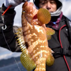 渡船屋たにぐち 釣果