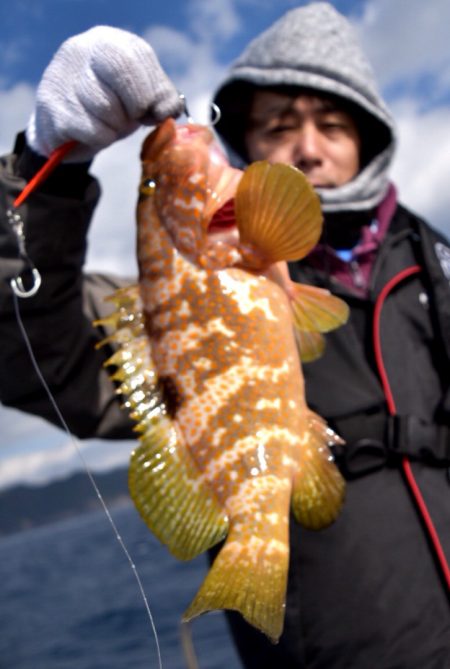 渡船屋たにぐち 釣果