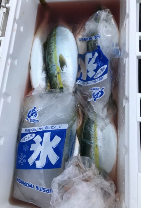 あみや渡船 JIGBOY 釣果