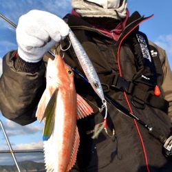 渡船屋たにぐち 釣果