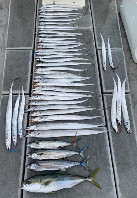 SeaRide(シーライド) 釣果