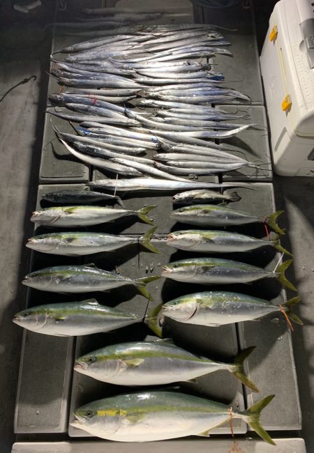 SeaRide(シーライド) 釣果