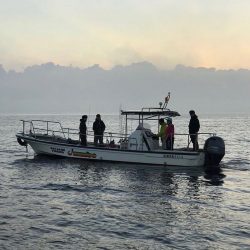 龍神丸(鹿児島) 釣果
