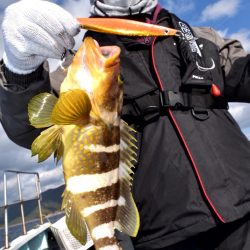 渡船屋たにぐち 釣果