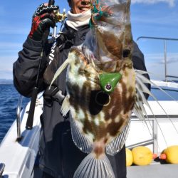 渡船屋たにぐち 釣果