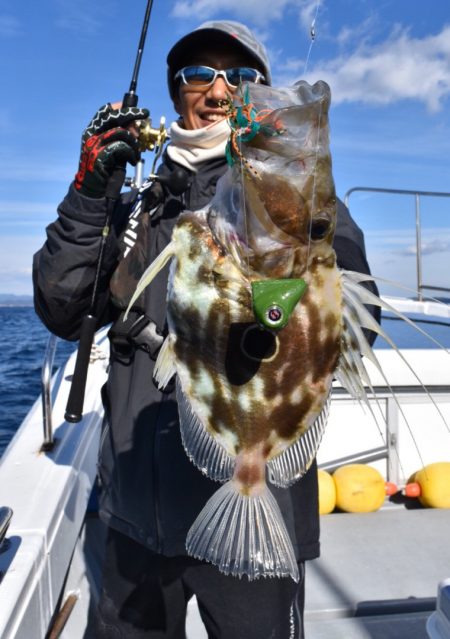 渡船屋たにぐち 釣果