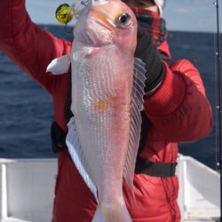渡船屋たにぐち 釣果