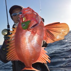 渡船屋たにぐち 釣果