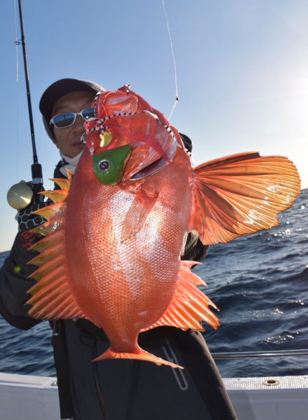 渡船屋たにぐち 釣果