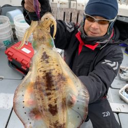 エヌスタイル 釣果