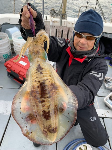 エヌスタイル 釣果
