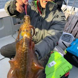 エヌスタイル 釣果