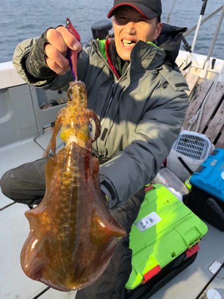 エヌスタイル 釣果