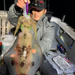 エヌスタイル 釣果