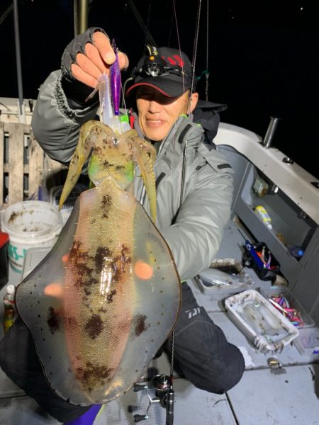 エヌスタイル 釣果