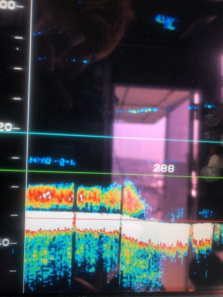 ＴＡＲＯＭＡＲＵ 釣果