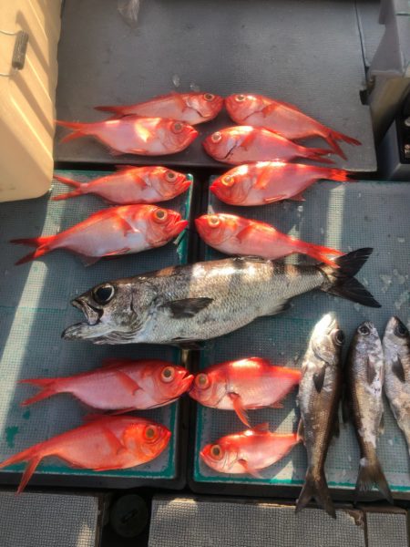 ＴＡＲＯＭＡＲＵ 釣果