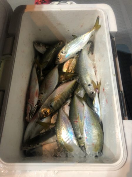 ＴＡＲＯＭＡＲＵ 釣果