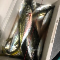 ＴＡＲＯＭＡＲＵ 釣果