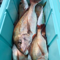 第二八坂丸 釣果