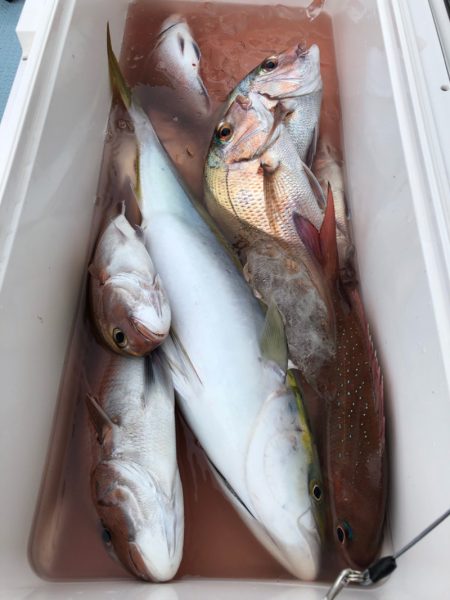 第二八坂丸 釣果