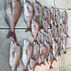 遊漁船メテオ 釣果