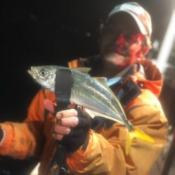 ＴＡＲＯＭＡＲＵ 釣果