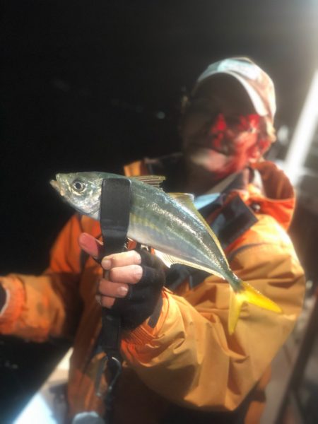 ＴＡＲＯＭＡＲＵ 釣果