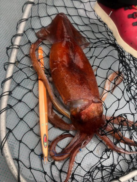 ＴＡＲＯＭＡＲＵ 釣果