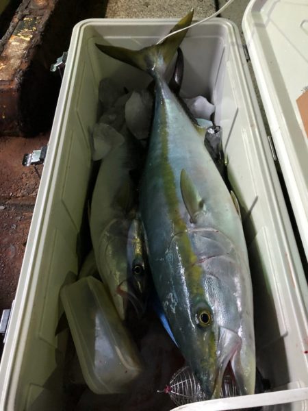 第二八坂丸 釣果