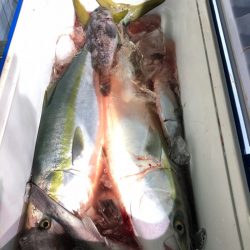 第二八坂丸 釣果