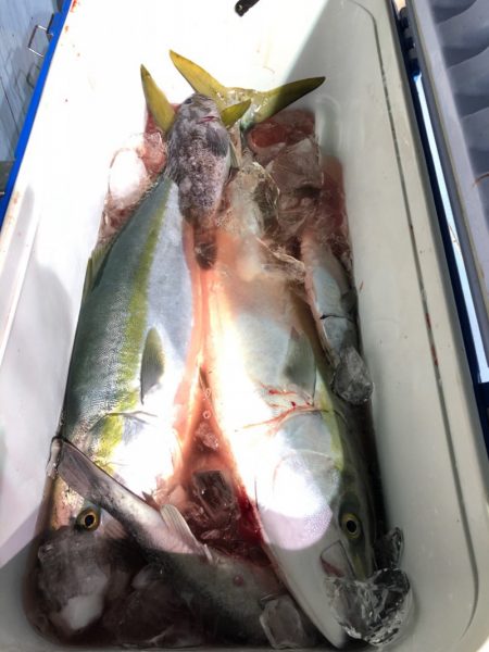 第二八坂丸 釣果