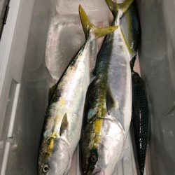 第二八坂丸 釣果