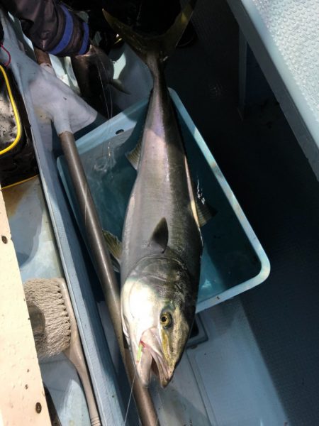 第二八坂丸 釣果