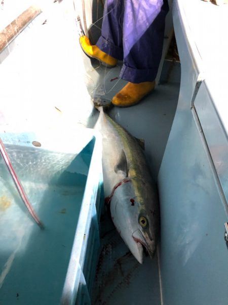 第二八坂丸 釣果