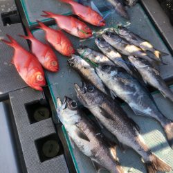 ＴＡＲＯＭＡＲＵ 釣果