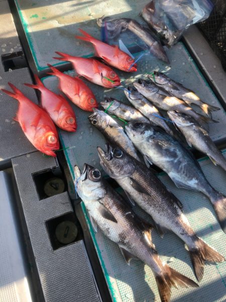 ＴＡＲＯＭＡＲＵ 釣果