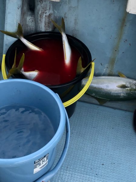 あみや渡船 JIGBOY 釣果