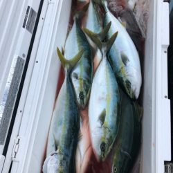 あみや渡船 JIGBOY 釣果