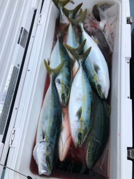 あみや渡船 JIGBOY 釣果