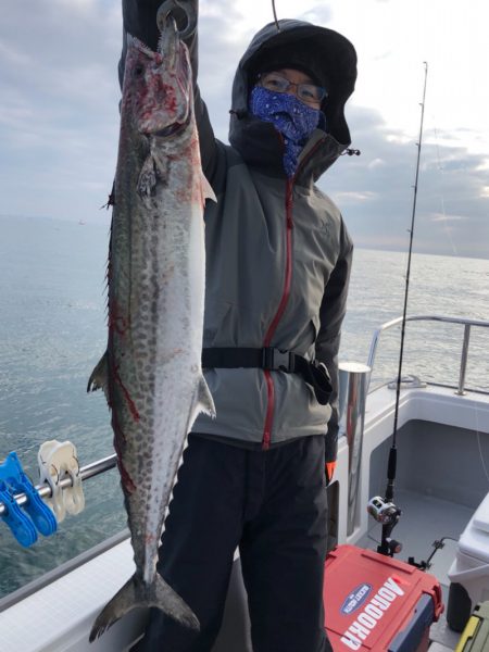 ビッグファイター 釣果