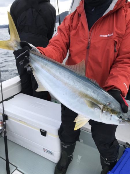 アマテラス 釣果