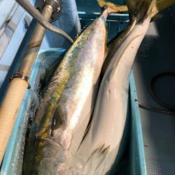 第二八坂丸 釣果