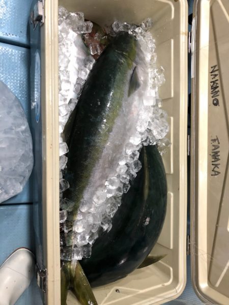 第二八坂丸 釣果