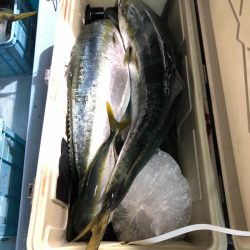 第二八坂丸 釣果