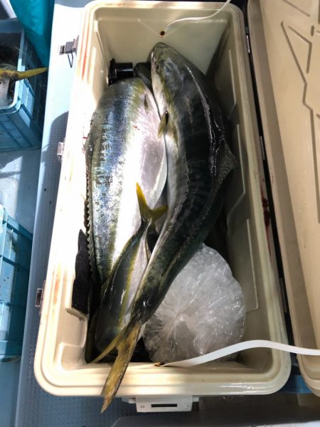 第二八坂丸 釣果