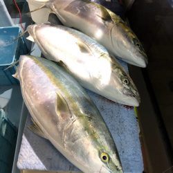 第二八坂丸 釣果