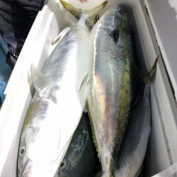 第二八坂丸 釣果