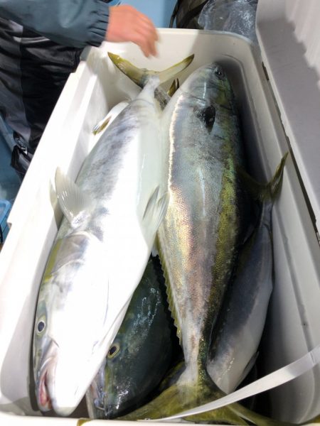 第二八坂丸 釣果