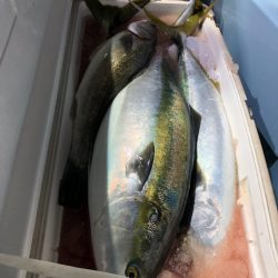 第二八坂丸 釣果